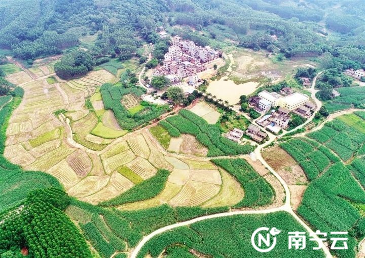 整治后的良庆区大塘镇那团村家约坡全貌.