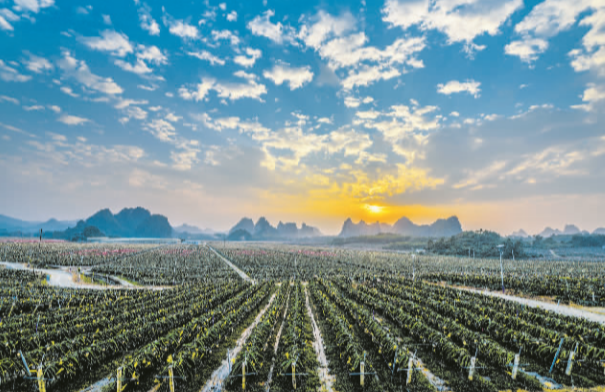 ��������ʵǿ�׸�ս�� ���׷ܽ���ʱ��