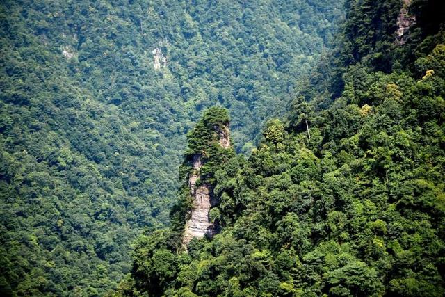 要闻近年来,广西大明山国家级自然保护区充分挖掘旅游资源,先后推出了