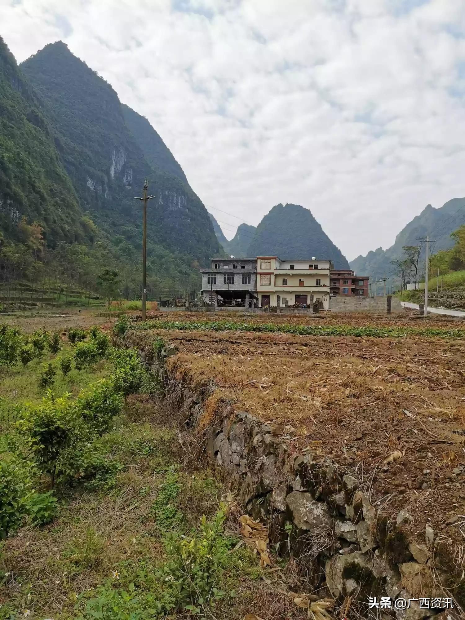 广西资讯战天斗地搞产业马山县金钗镇龙印村发展有奔头