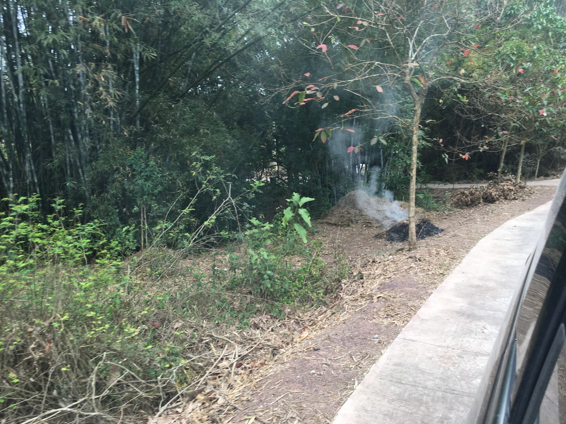 良庆区:科学治理秸秆露天燃烧之路,任重道远