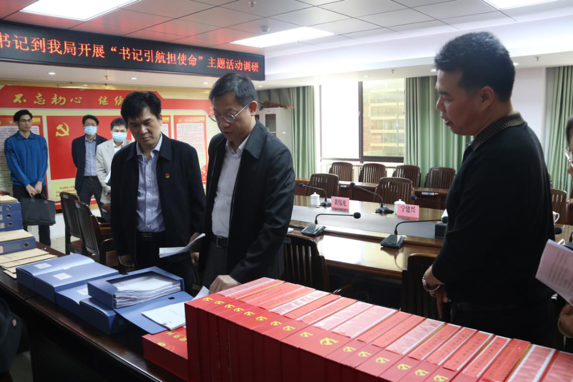 武鸣区:"四个一"压实主体责任 推动"书记引航担使命"主题活动