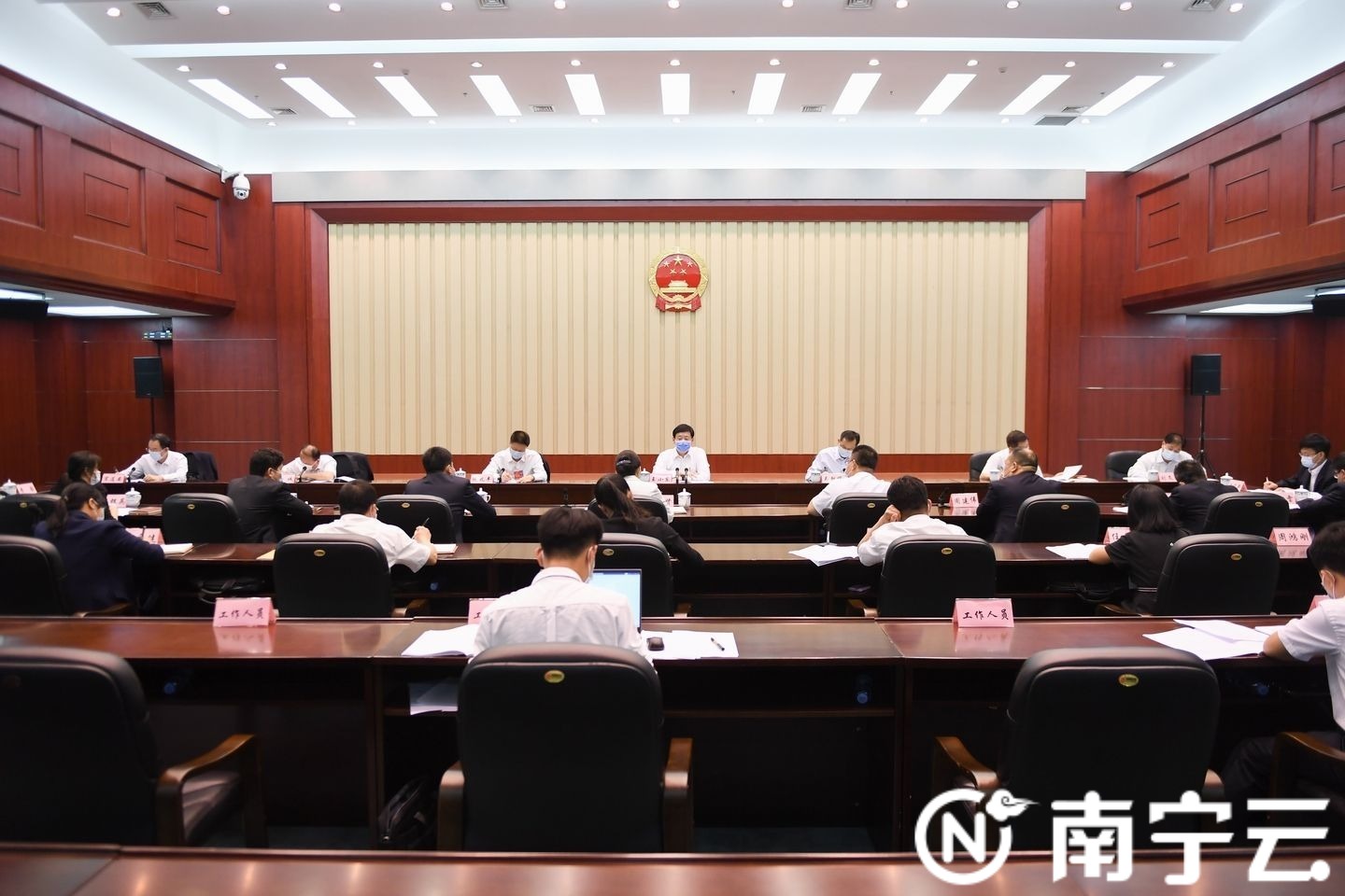 王小东参加隆安县代表团审议