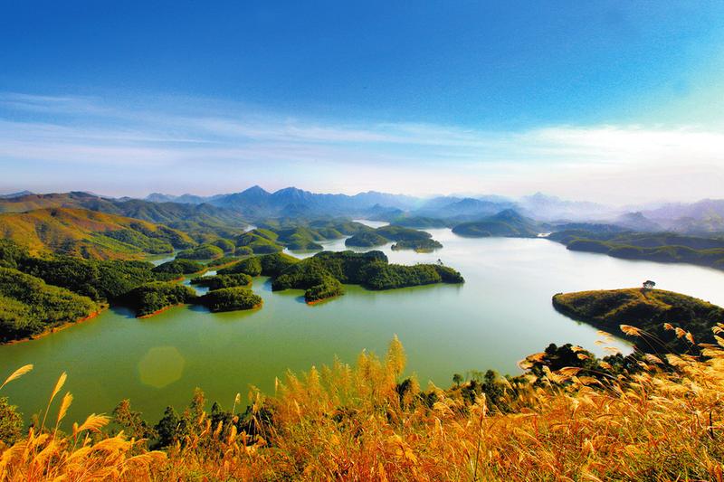 宾阳县绣花式扶贫绣出乡村好风景