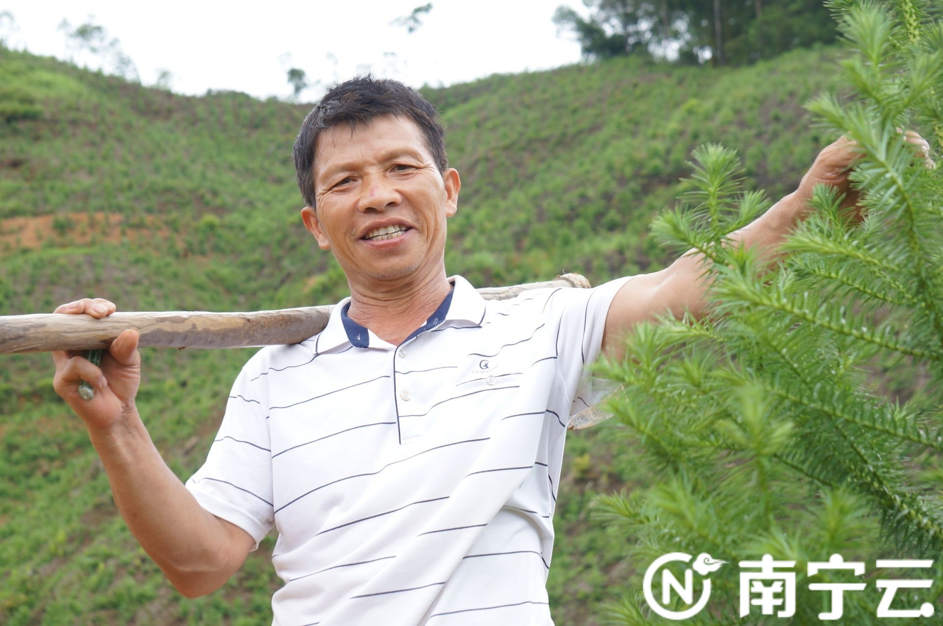 据了解,普通杉木生长周期长,一般年成材,产业不旺,脱贫攻坚难度大.
