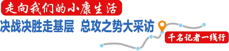 上林县：山林育出茶油树退桉还茶幸福来