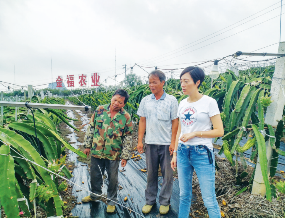 苏秀清在基地查看火龙果长势. 一份责任