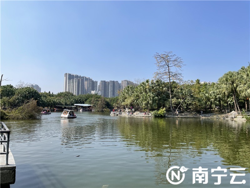 新春走基层南宁大年初一各大公园景点游客盈门市民文明出游成美丽风景