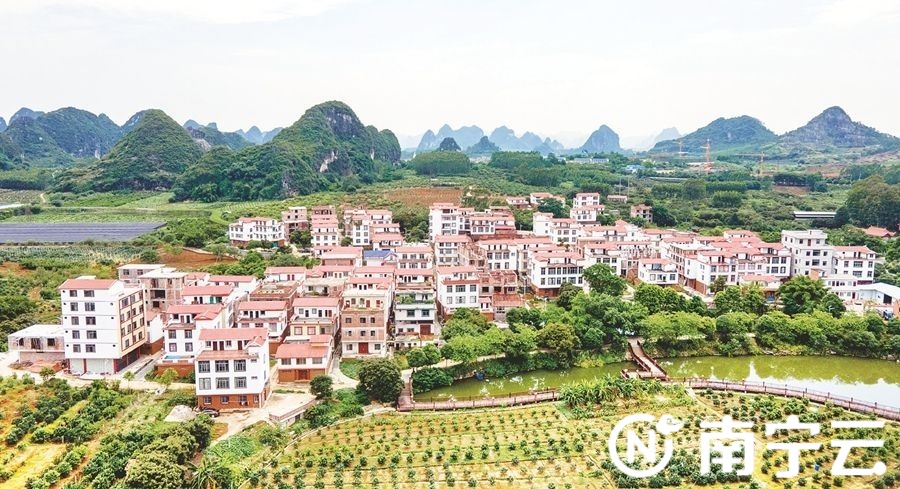 县区 近日,记者走进武鸣区双桥镇八桥村乐山屯,映入眼帘的是一个依山