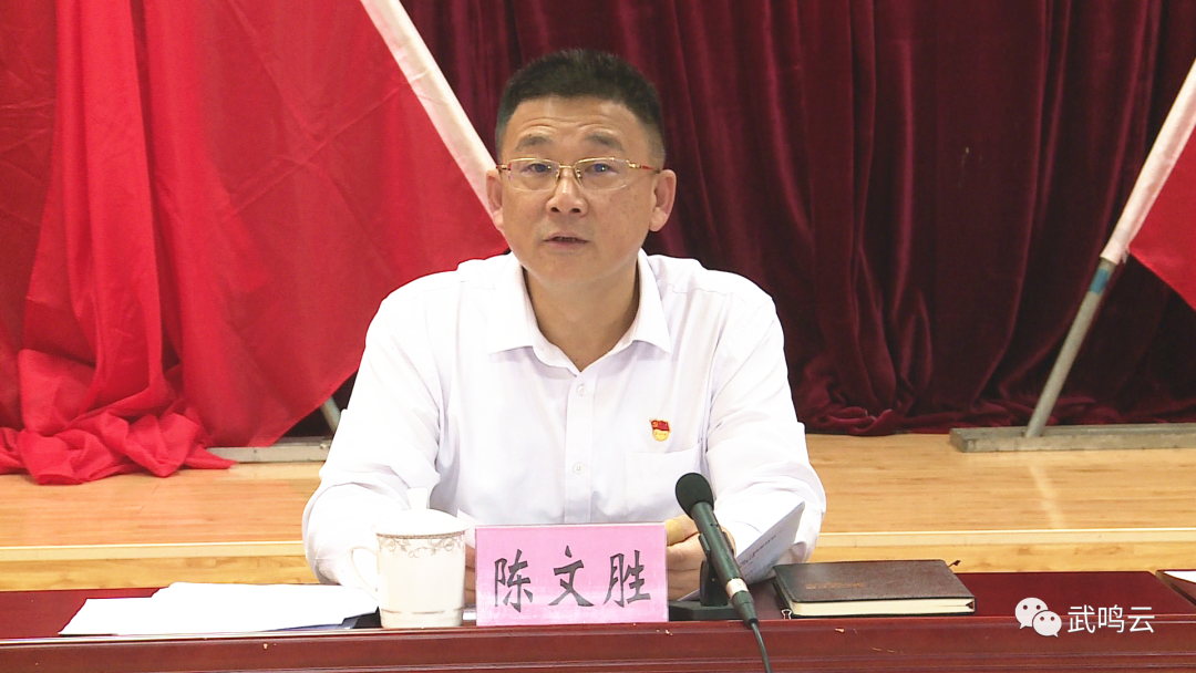 武鸣区:陈文胜当选中共南宁市武鸣区第二届委员会书记