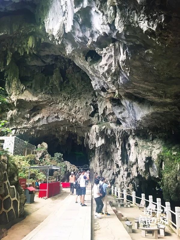 马山县杨圩镇西北3公里处,溶岩景观最丰富的原始石漠溶洞与沿线的灵水