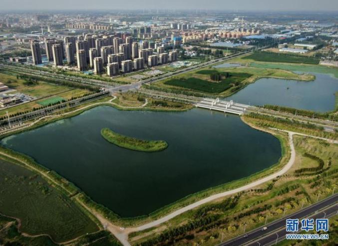 母亲河畔的中国贫地变良田小麦棉花油料在兰考遍地开花