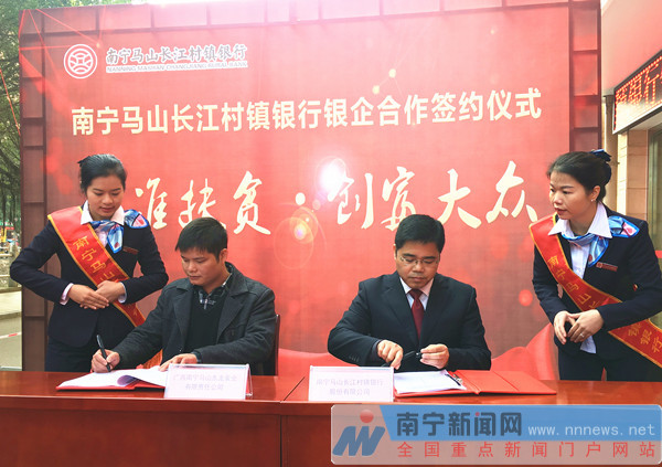 马山长江村镇银行开业 南宁实现村镇银行县域全覆盖