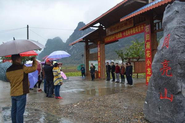 马山县加方乡小龙虾养殖基地为村民开辟致富路