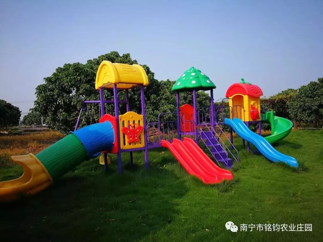 横县铭钧庄园猪肉切丝怎机图片