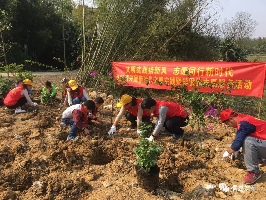 我县各乡镇各单位开展义务植树活动