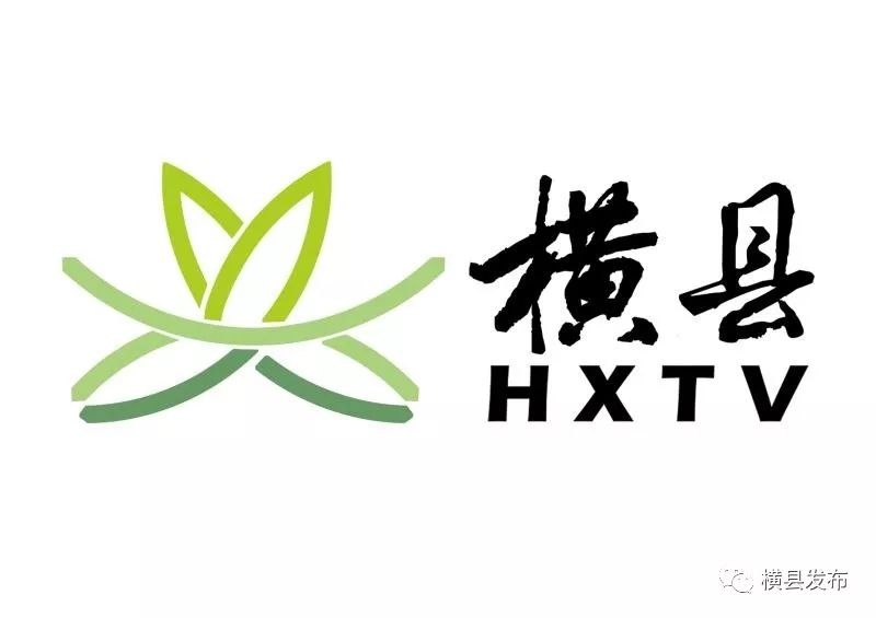 电视节目从原来自办的《横县新闻《花乡民声》两档外还全新推出了