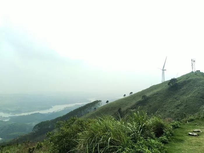 前面介绍横县的山这下要给你介绍横县的水西津湖景区西津湖景区是