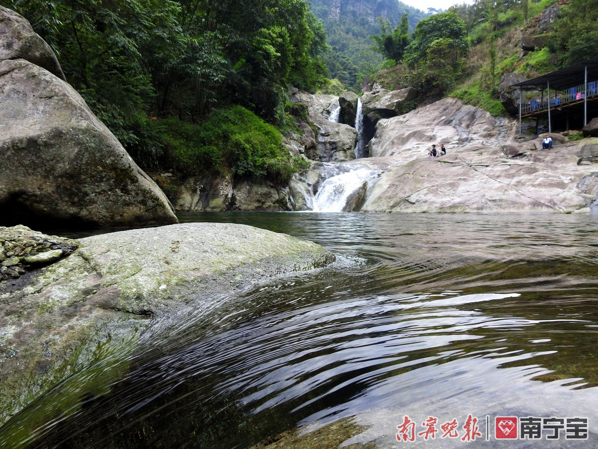 周末自驾去上林,在万古茶园品茗赏景,在下水源享受夏日悠闲