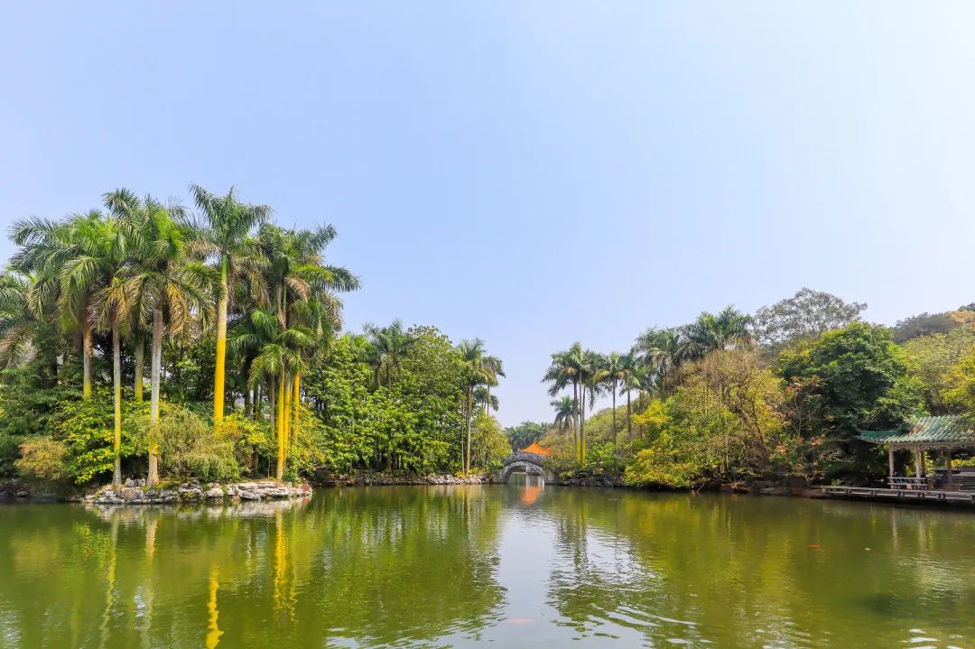 南宁青秀山天池风光(5a级景区)