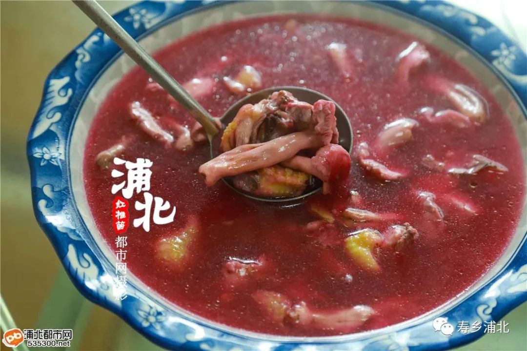 今年浦北红椎菌特别多,快点快点尝鲜去!