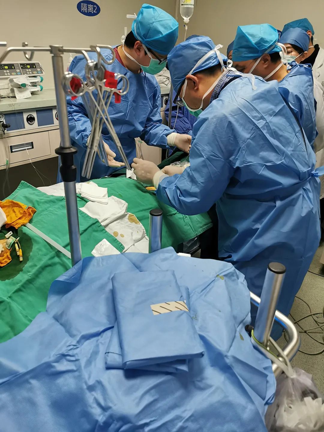 女子发热昏迷住进icu还上了呼吸机只因她养了这种宠物