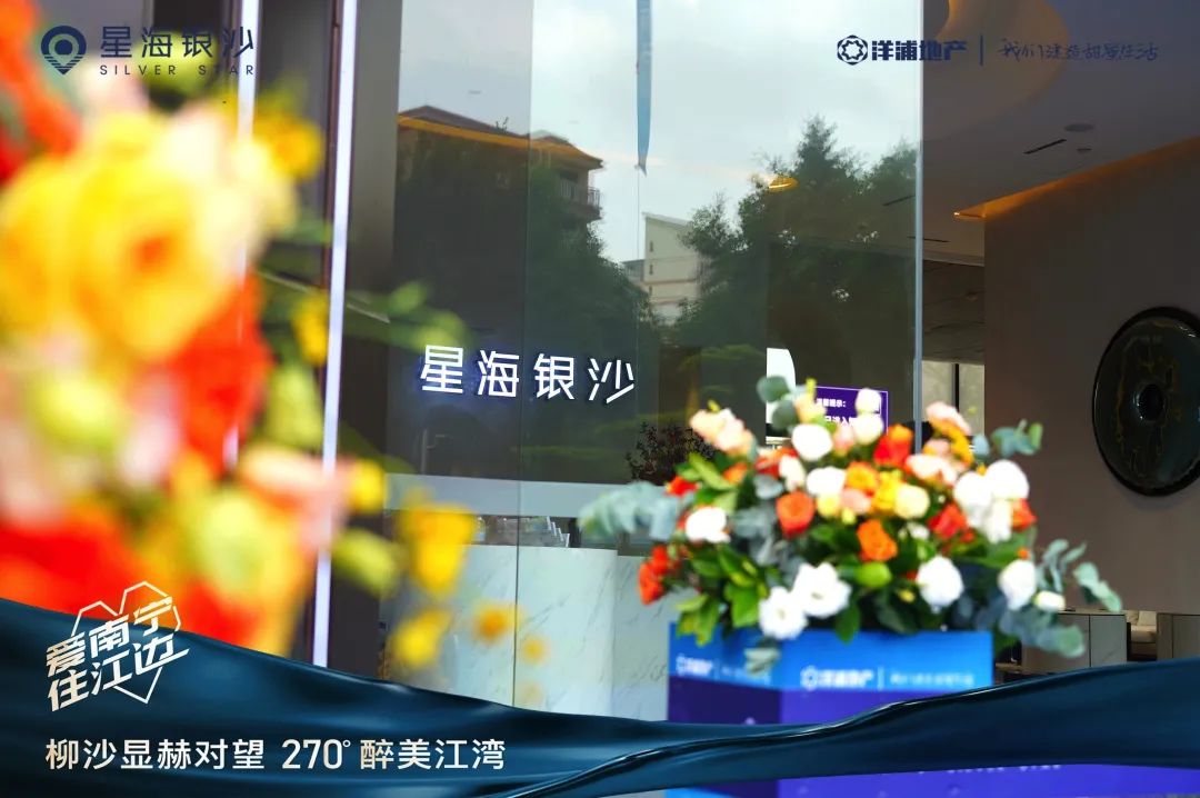 显山见水星耀南宁星海银沙营销中心璀璨绽放与你共鉴270醉美江湾
