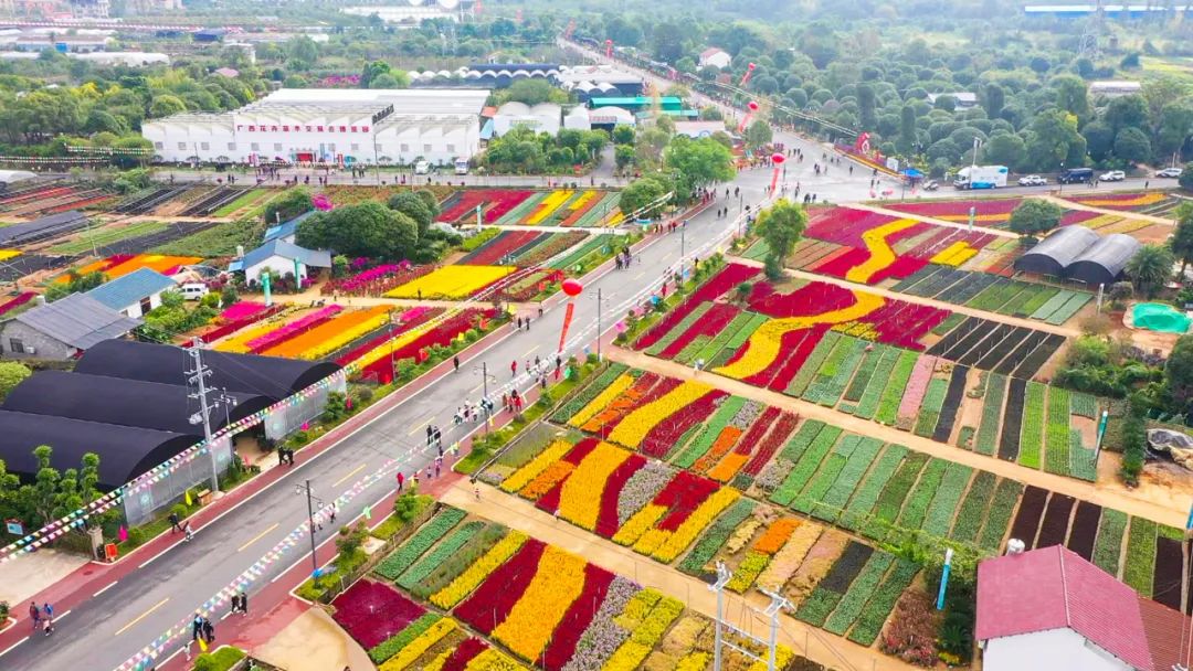 位于广西桂林市叠彩区的叠彩花卉基地非常适合您!