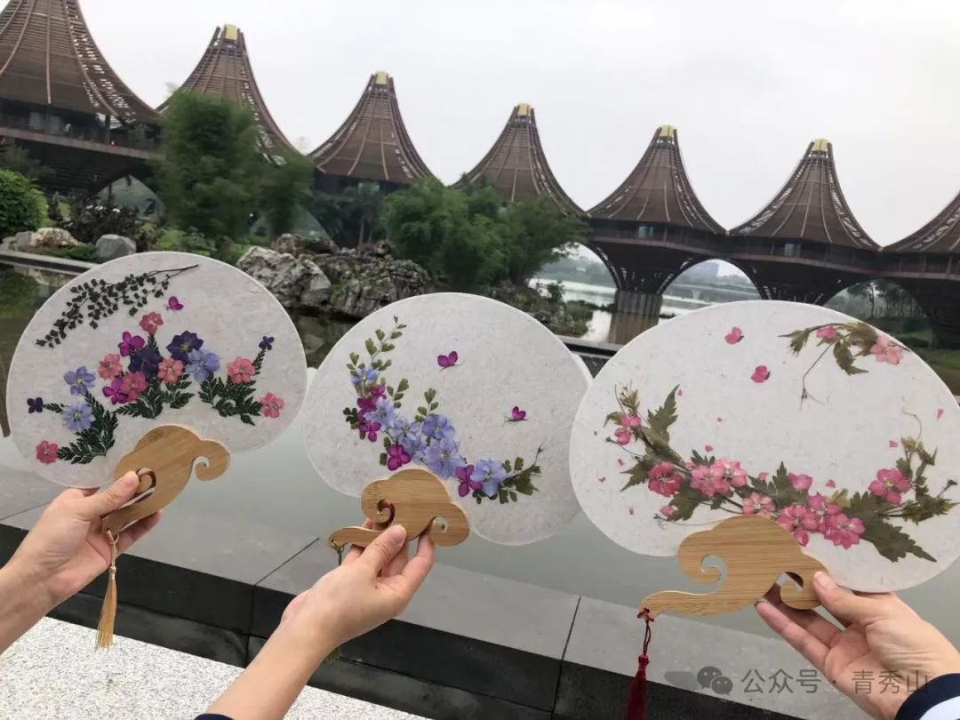 手持镜眼底怎么扶来青秀山，玩转植物压花DIY_https://www.jmylbn.com_新闻资讯_第6张