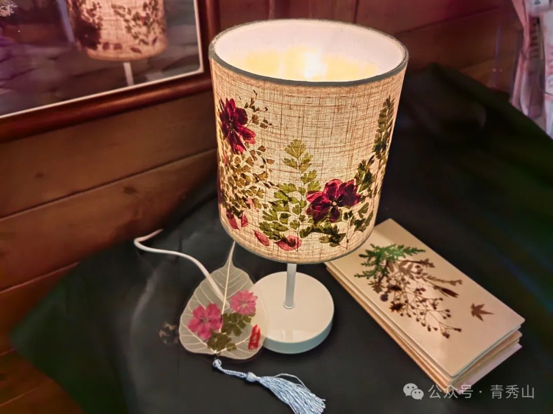 手持镜眼底怎么扶来青秀山，玩转植物压花DIY_https://www.jmylbn.com_新闻资讯_第3张