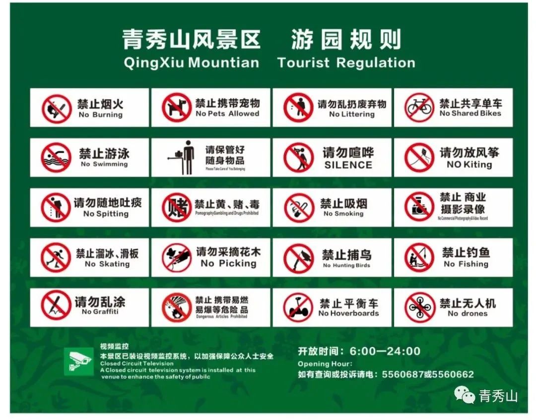 手持镜眼底怎么扶来青秀山，玩转植物压花DIY_https://www.jmylbn.com_新闻资讯_第20张