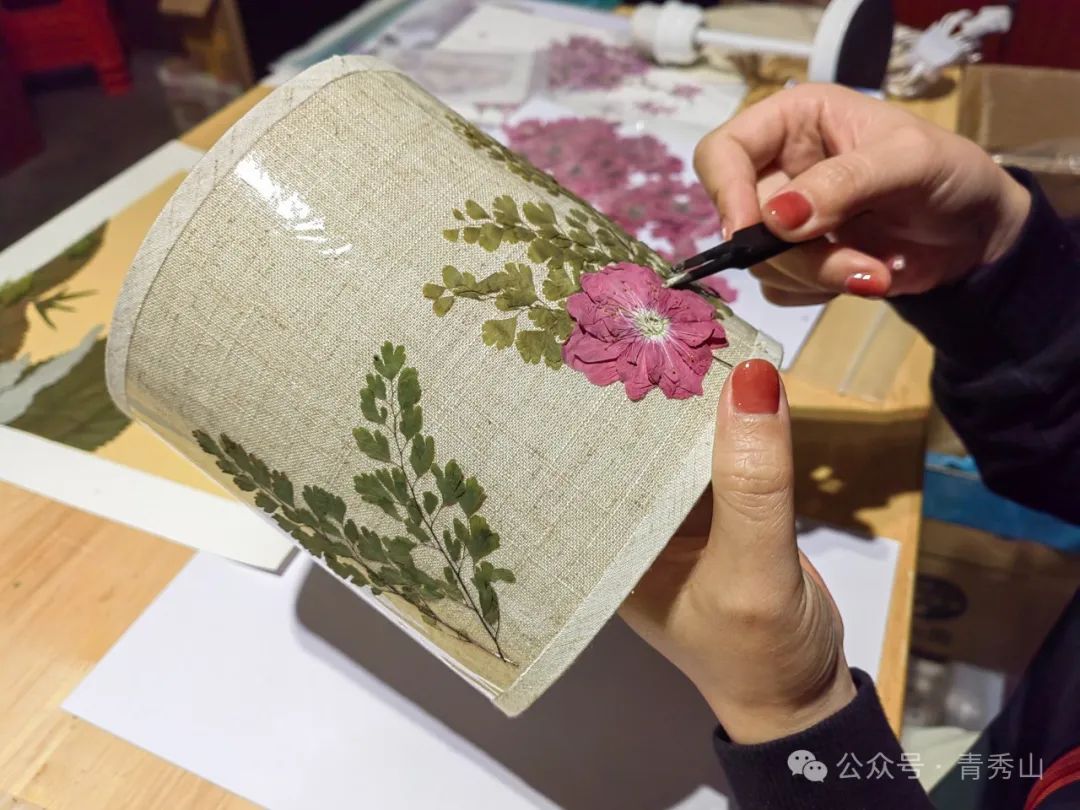 手持镜眼底怎么扶来青秀山，玩转植物压花DIY_https://www.jmylbn.com_新闻资讯_第4张