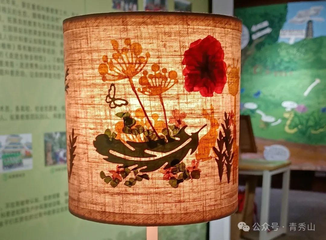 手持镜眼底怎么扶来青秀山，玩转植物压花DIY_https://www.jmylbn.com_新闻资讯_第5张