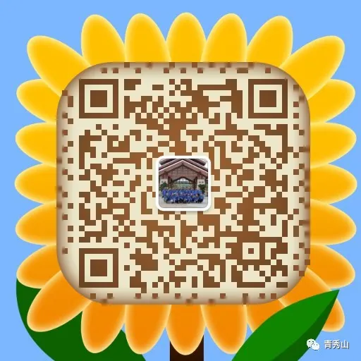 手持镜眼底怎么扶来青秀山，玩转植物压花DIY_https://www.jmylbn.com_新闻资讯_第19张