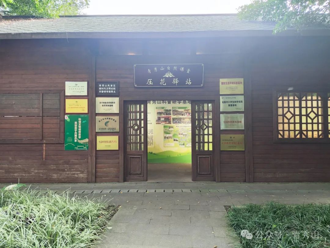 手持镜眼底怎么扶来青秀山，玩转植物压花DIY_https://www.jmylbn.com_新闻资讯_第18张