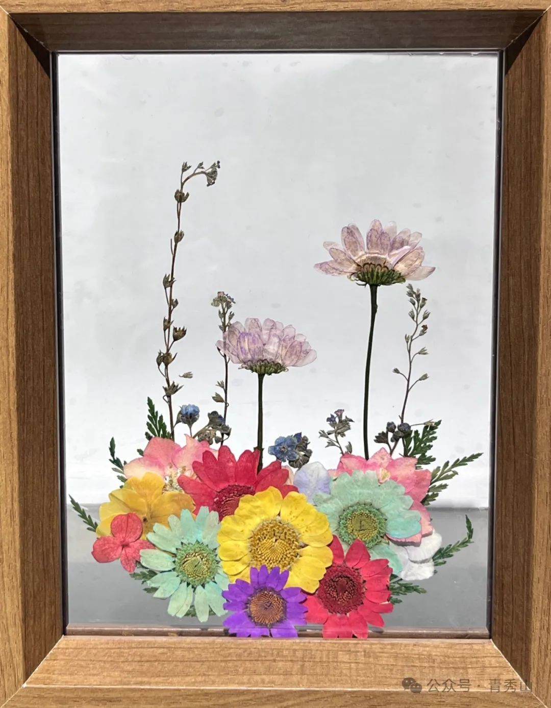 手持镜眼底怎么扶来青秀山，玩转植物压花DIY_https://www.jmylbn.com_新闻资讯_第13张